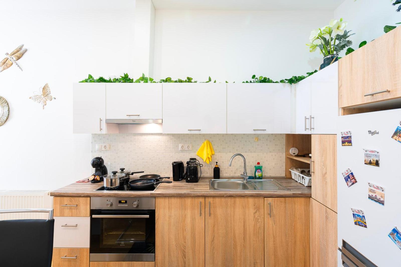 Lovely Designer With Stunning Parliament View Apartment
